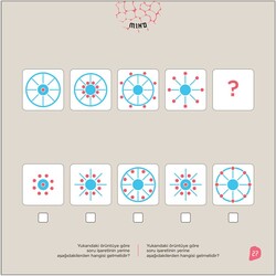 9+ Yaş MIND - 2