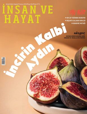 İnsan ve Hayat Dergisi (Temmuz) - S.161 - 1